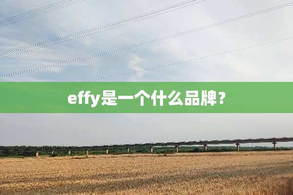 effy是一个什么品牌？