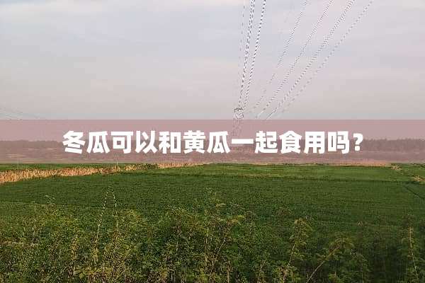 冬瓜可以和黄瓜一起食用吗？