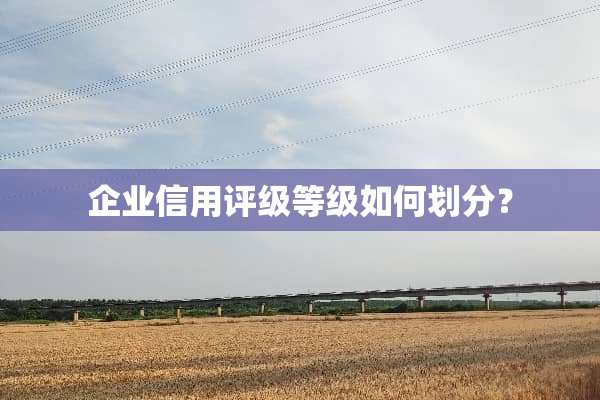 企业信用评级等级如何划分？