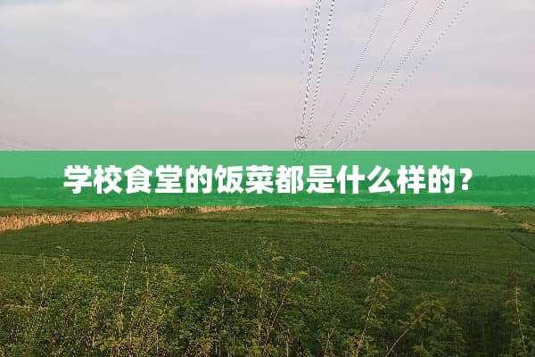 学校食堂的饭菜都是什么样的？