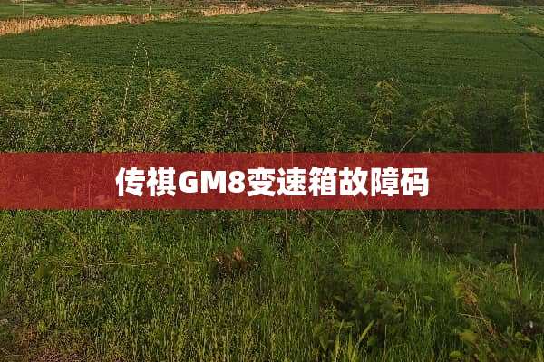 传祺GM8变速箱故障码