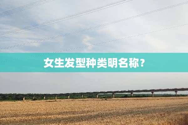 女生发型种类明名称？