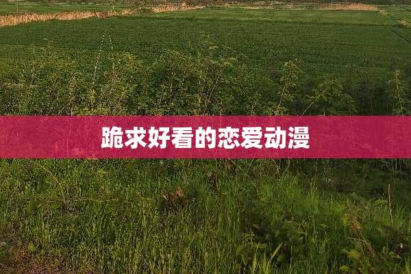跪求好看的恋爱动漫