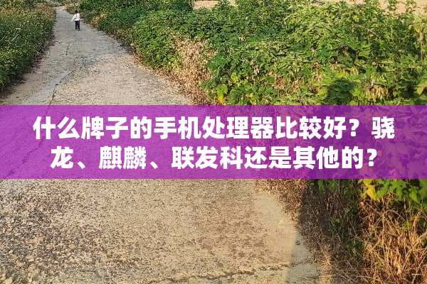 什么牌子的手机处理器比较好？骁龙、麒麟、联发科还是其他的？