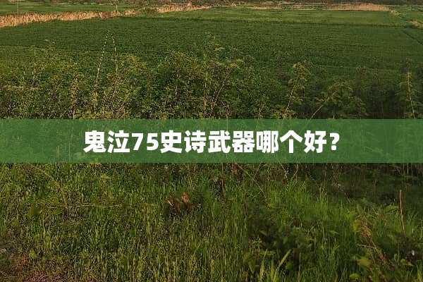 鬼泣75史诗**哪个好？