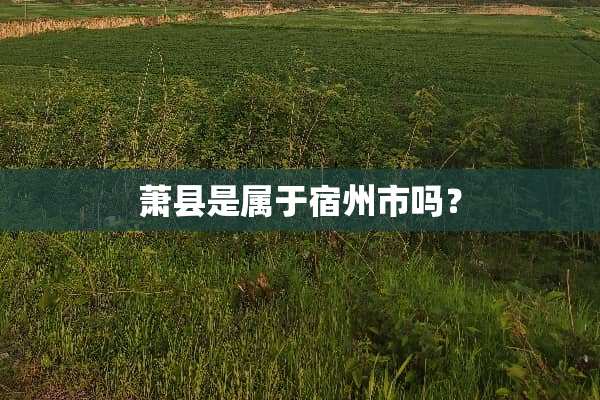萧县是属于宿州市吗？