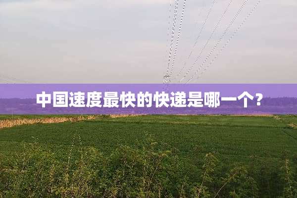 中国速度最快的快递是哪一个？