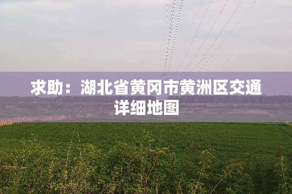 求助：湖北省黄冈市黄洲区交通详细地图