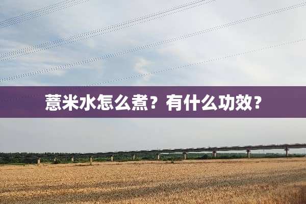 薏米水怎么煮？有什么功效？