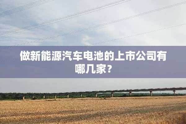 做新能源汽车电池的上市公司有哪几家？