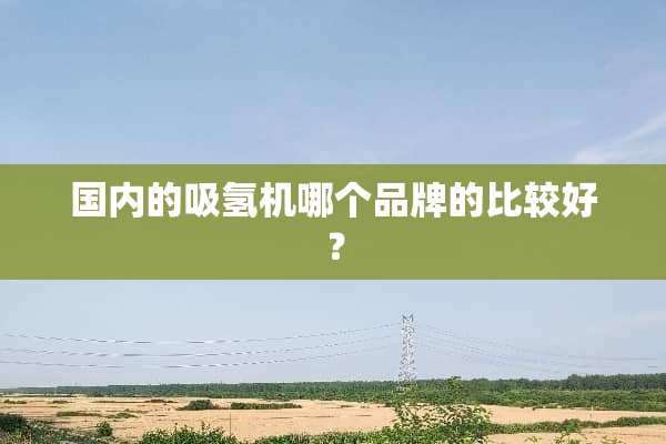 国内的吸氢机哪个品牌的比较好？