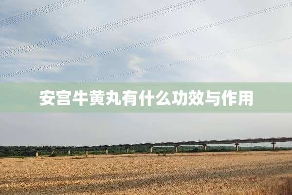 安宫牛黄丸有什么功效与作用