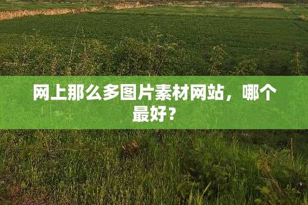 网上那么多图片素材网站，哪个最好？