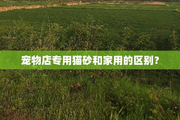 宠物店专用猫砂和家用的区别？