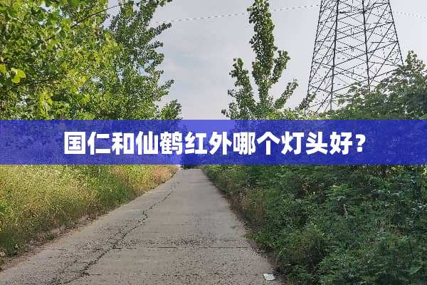 国仁和仙鹤红外哪个灯头好？
