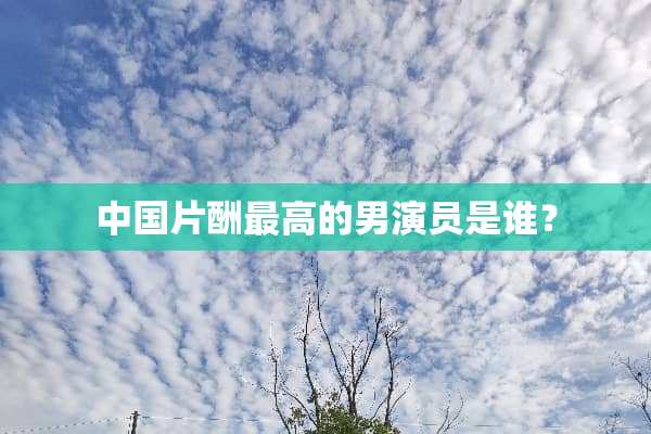 中国片酬最高的男演员是谁？