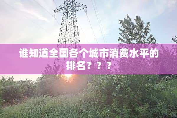 谁知道全国各个城市消费水平的排名？？？