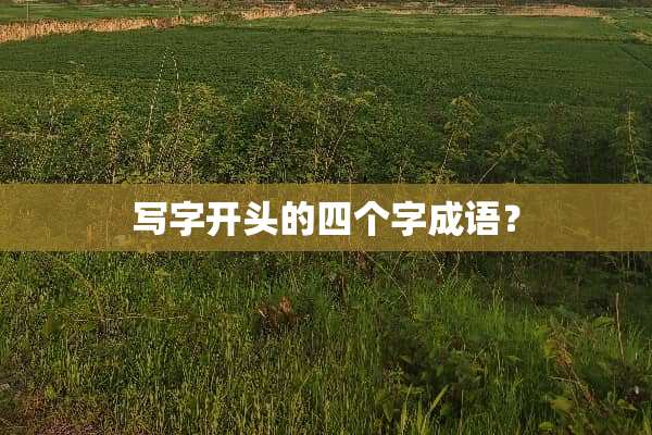 写字开头的四个字成语？