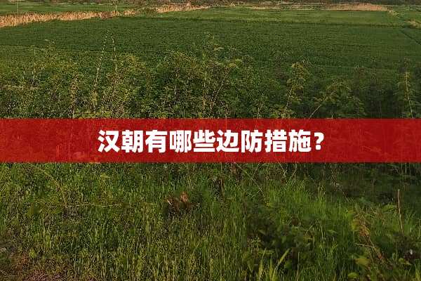 汉朝有哪些边防措施？