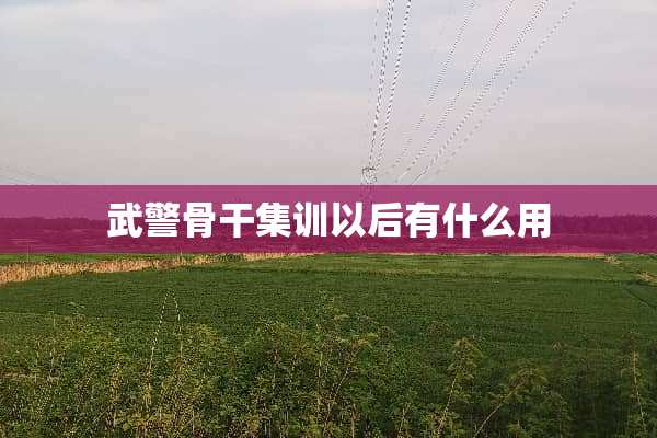 **骨干集训以后有什么用