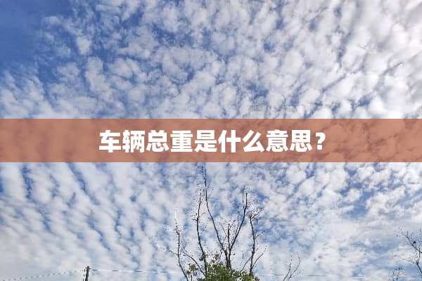 车辆总重是什么意思？
