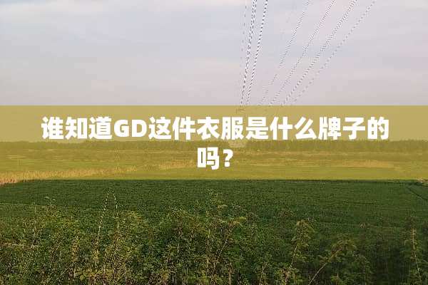 谁知道GD这件衣服是什么牌子的吗？