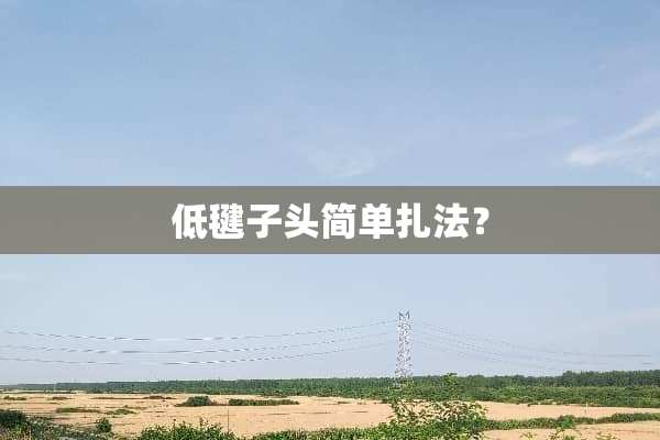 低毽子头简单扎法？