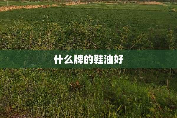 什么牌的鞋油好