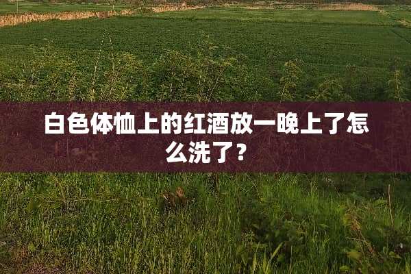 白色体恤上的红酒放一晚上了怎么洗了？