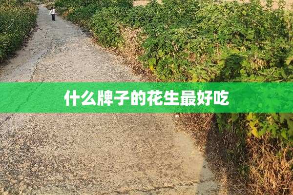 什么牌子的花生最好吃
