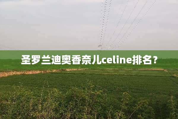 圣罗兰迪奥香奈儿celine排名？
