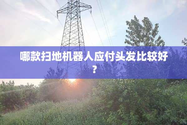 哪款扫地机器人应付头发比较好？