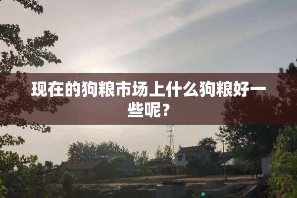 现在的狗粮市场上什么狗粮好一些呢？