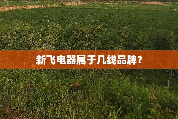 新飞电器属于几线品牌？