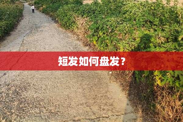 短发如何盘发？