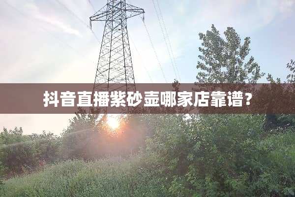 抖音直播紫砂壶哪家店靠谱？