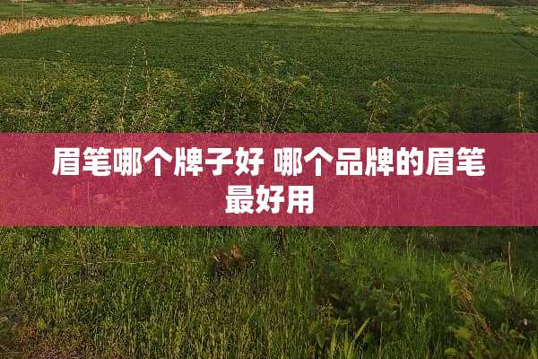 眉笔哪个牌子好 哪个品牌的眉笔最好用