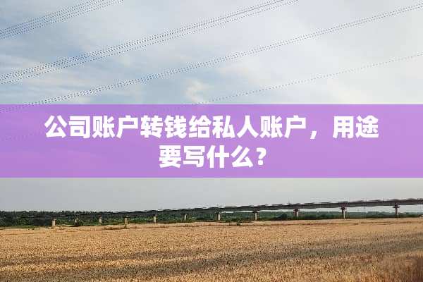公司账户转钱给私人账户，用途要写什么？