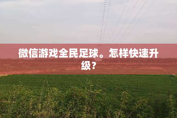 微信游戏全民**。怎样快速升级？