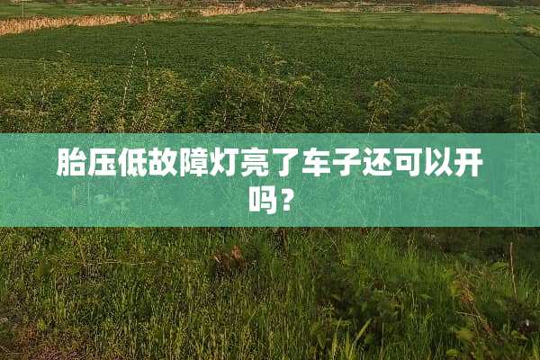 胎压低故障灯亮了车子还可以开吗？