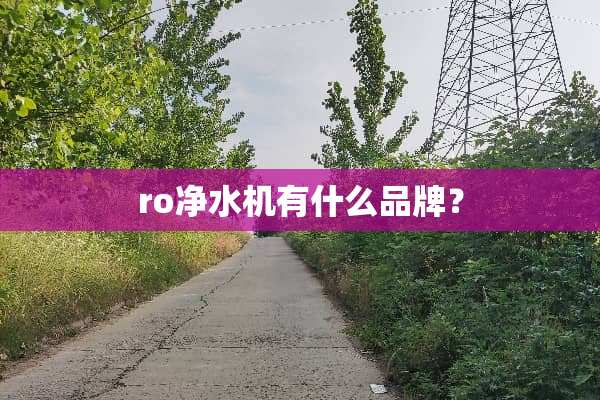 ro净水机有什么品牌？