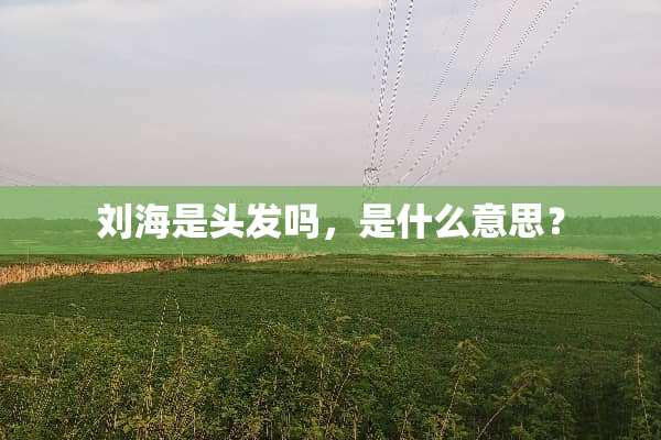 刘海是头发吗，是什么意思？