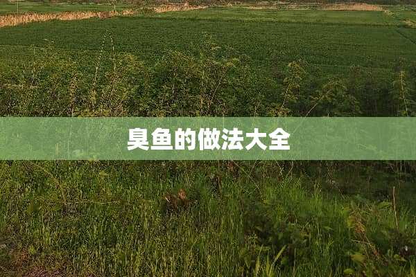 臭鱼的做法大全