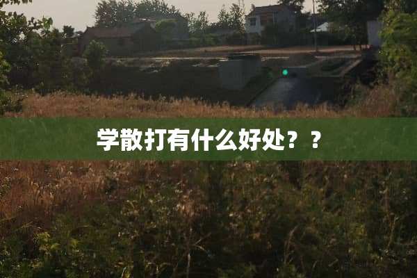 学散打有什么好处？？
