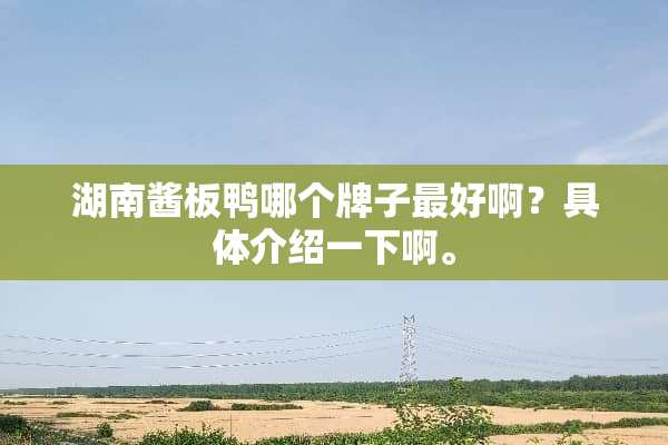 湖南酱板鸭哪个牌子最好啊？具体介绍一下啊。