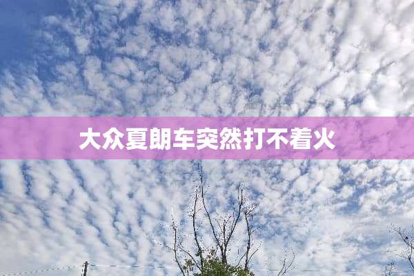 大众夏朗车突然打不着火