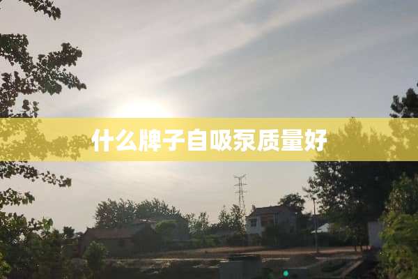 什么牌子自吸泵质量好