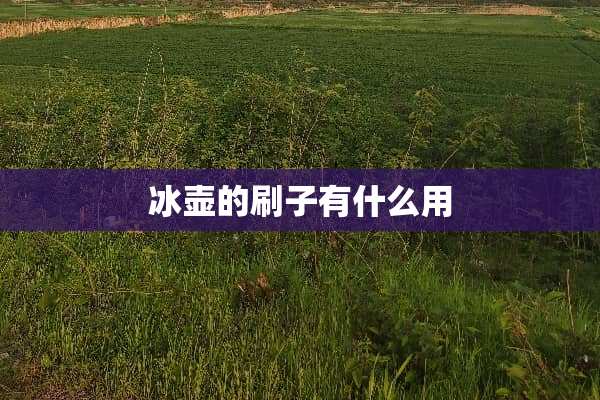 冰壶的刷子有什么用
