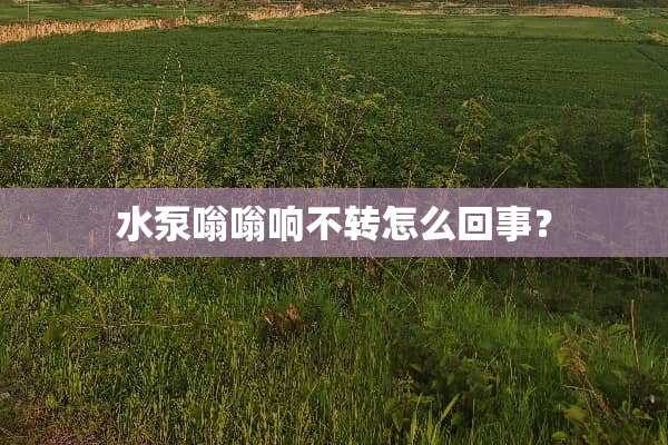 水泵嗡嗡响不转怎么回事？