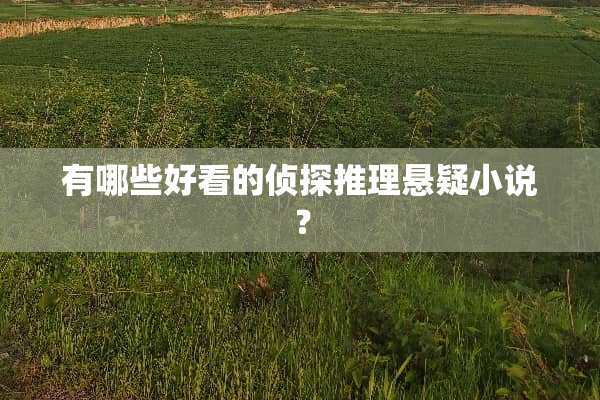 有哪些好看的侦探推理悬疑小说？